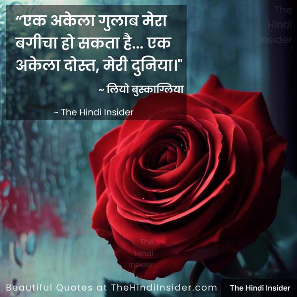 “एक अकेला गुलाब मेरा बगीचा हो सकता है… एक अकेला दोस्त, मेरी दुनिया।” -लियो बुस्काग्लिया" via The Hindi Insider - Friendship Day Quotes in Hindi