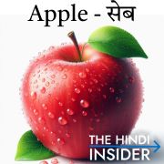 Apple Fruits Name in Hindi