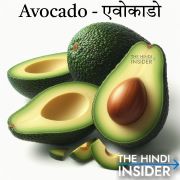 Avocado Fruits Name in Hindi