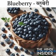 Blueberry Fruits Name in Hindi