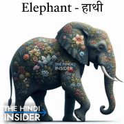 Elephant in Hindi and English