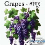 Grapes in Hindi and English - Fruits Name in Hindi