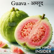 Guava Fruit in Hindi and English