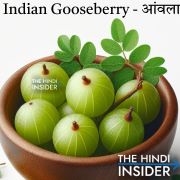Indian Gooseberry - Amla in Hindi and English