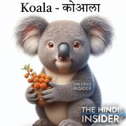 Koala in Hindi