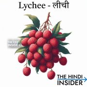 Lychee in Hindi