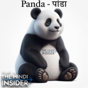 Panda in Hindi