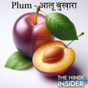 Plum in Hindi - Fruits Name in Hindi