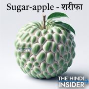 Sugar-Apple