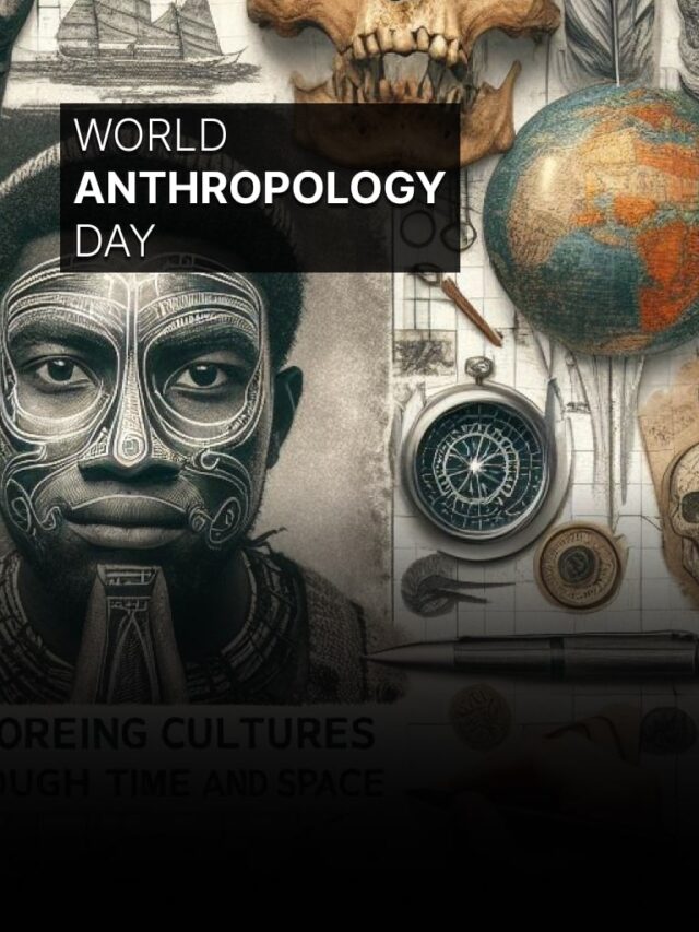 What is Anthropology? Discover Its Insights